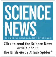 Science News article on the Birds-Away Attack Spider